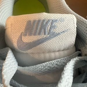 New in box - Nike Dunk Low Next to Nature blue tint